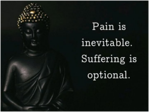 Read more about the article PAIN IS INEVITABLE, SUFFERING IS A CHOICE: MASTERING THE MINDSET SHIFT